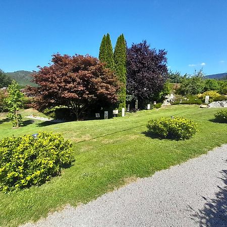 Chalet De Grettery Saulxures-sur-Moselotte 外观 照片
