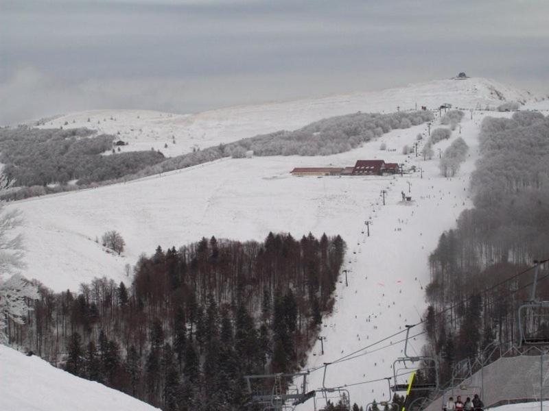 Chalet De Grettery Saulxures-sur-Moselotte 外观 照片