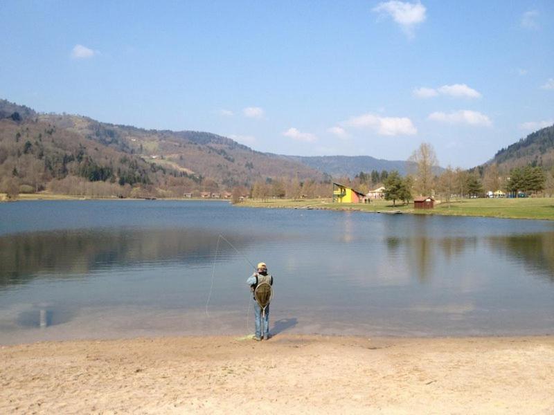 Chalet De Grettery Saulxures-sur-Moselotte 外观 照片