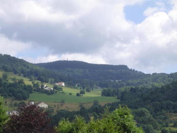 Chalet De Grettery Saulxures-sur-Moselotte 外观 照片
